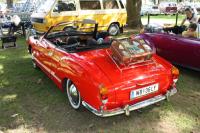 vw-kafertreffen-furstenfeld-86.JPG