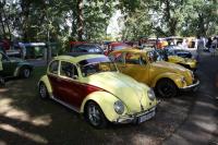 vw-kafertreffen-furstenfeld-97.JPG