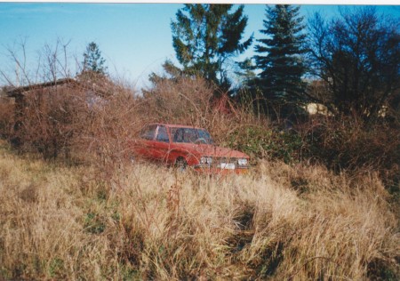 VW K70 rot