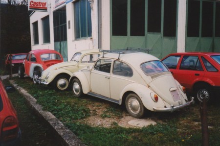 viele VW Käfer