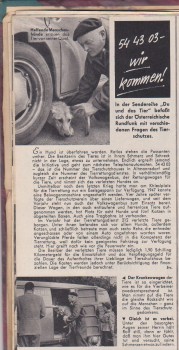 Tierrettung VW Bus T1