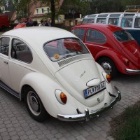 VW Käfertreffen Eggenburg 11