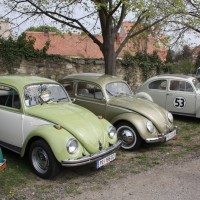 VW Käfertreffen Eggenburg 128