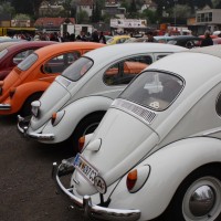 VW Käfertreffen Eggenburg 2013 Käfer