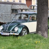 VW Käfertreffen Eggenburg 182