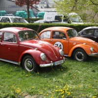 VW Käfertreffen Eggenburg 185