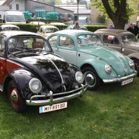 VW Käfertreffen Eggenburg 190