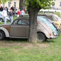 VW Käfertreffen Eggenburg 2013 Baum Käfer