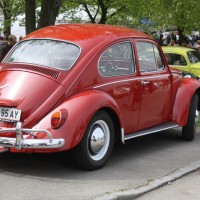 VW Käfertreffen Eggenburg 204