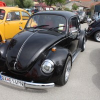 VW Käfertreffen Eggenburg 215