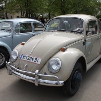 VW Käfertreffen Eggenburg 239