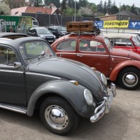 VW Käfertreffen Eggenburg 246
