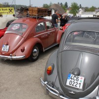 VW Käfertreffen Eggenburg 247