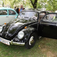 VW Käfertreffen Eggenburg 256