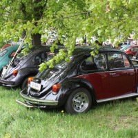 VW Käfertreffen Eggenburg 265