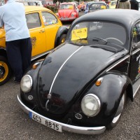 VW Käfertreffen Eggenburg 50