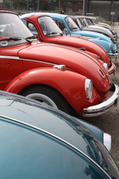 VW Käfertreffen Eggenburg 2013 Käfer Lineup