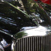 Oldtimertreffen Pinkafeld 2013 Jaguar Logo Emblem Kühlerfigur