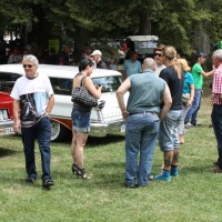 Oldtimertreffen Pinkafeld 2013 Menschen Leute Fans