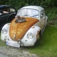 VW Käfer Rat Look Style Ratte