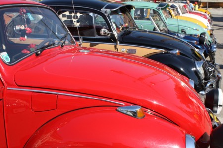 mehrere VW Käfer