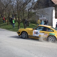 Rebenland Rallye 2014 Porsche 911 3.0 SC Anton Reisenhofer SP6