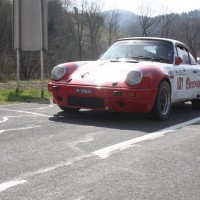 Rebenland Rallye 2014 Porsche 911 Paolo Pasutti SP9