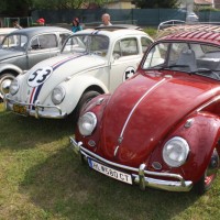 VW Käfertreffen Eggenburg 2014 100