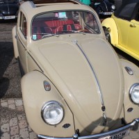 VW Käfertreffen Eggenburg 2014 124