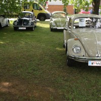 VW Käfertreffen Eggenburg 2014 17