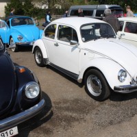 VW Käfertreffen Eggenburg 2014 266