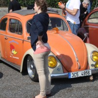 VW Käfertreffen Eggenburg 2014 289