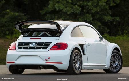 VW Beetle GRC