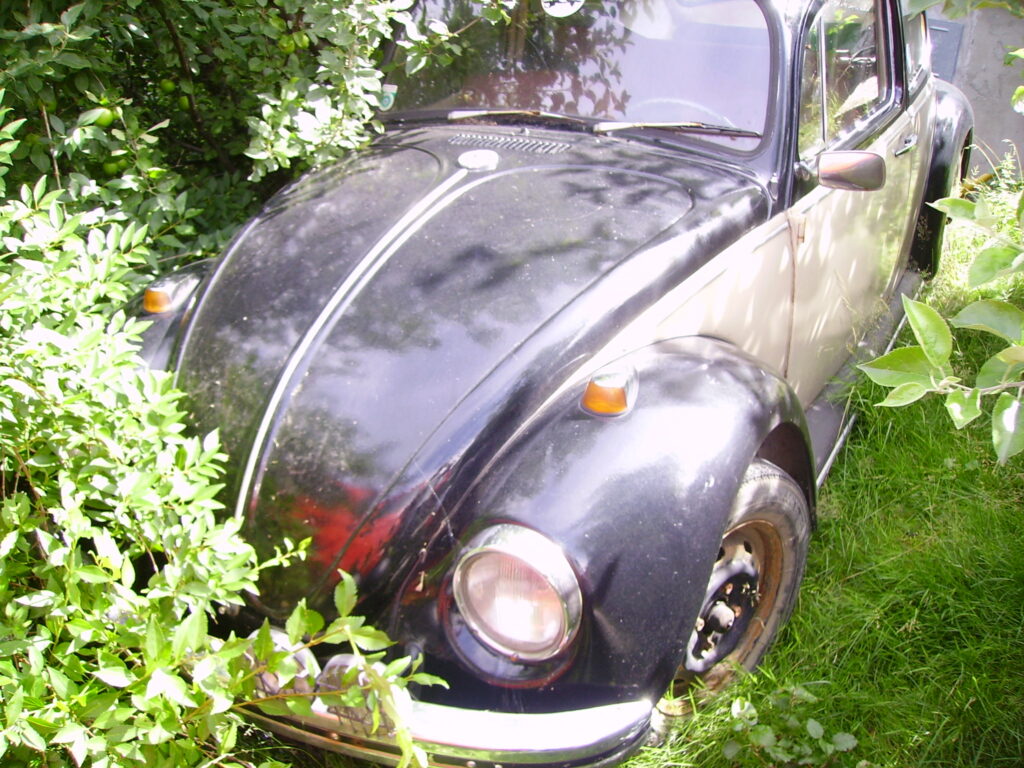VW Käfer 1300 vergessen Wiese Wald