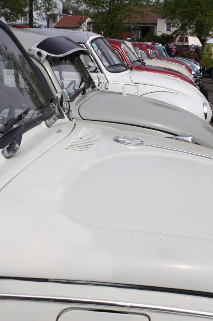VW Käfer Fronten